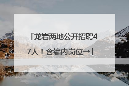 龙岩两地公开招聘47人！含编内岗位→