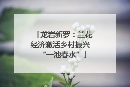 龙岩新罗：兰花经济激活乡村振兴“一池春水”