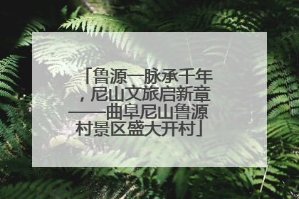 鲁源一脉承千年，尼山文旅启新章——曲阜尼山鲁源村景区盛大开村