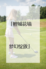 鲤城花墙 梦幻绽放