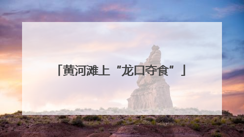 黄河滩上“龙口夺食”