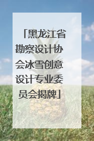 黑龙江省勘察设计协会冰雪创意设计专业委员会揭牌
