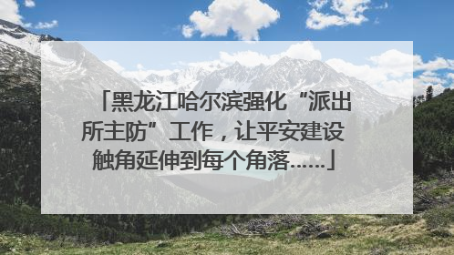 黑龙江哈尔滨强化“派出所主防”工作，让平安建设触角延伸到每个角落……