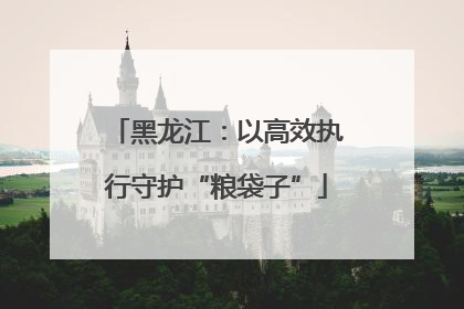 黑龙江：以高效执行守护“粮袋子”