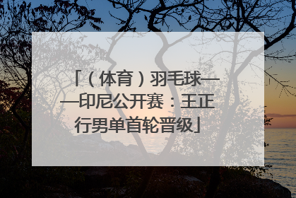 （体育）羽毛球——印尼公开赛：王正行男单首轮晋级