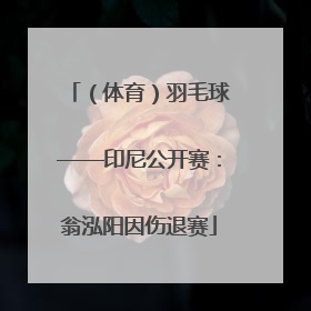 （体育）羽毛球——印尼公开赛：翁泓阳因伤退赛