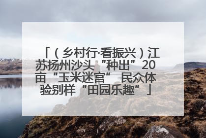 （乡村行·看振兴）江苏扬州沙头“种出”20亩“玉米迷宫” 民众体验别样“田园乐趣”