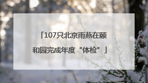 107只北京雨燕在颐和园完成年度“体检”