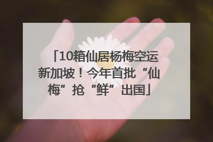 10箱仙居杨梅空运新加坡！今年首批“仙梅”抢“鲜”出国