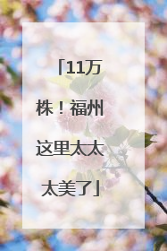 11万株！福州这里太太太美了