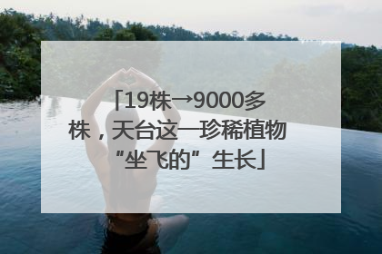 19株→9000多株，天台这一珍稀植物“坐飞的”生长
