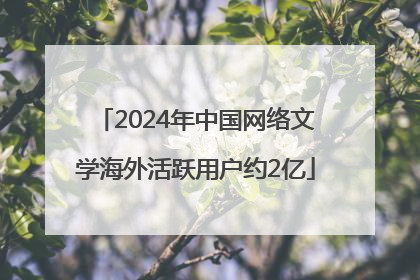 2024年中国网络文学海外活跃用户约2亿