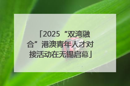 2025“双湾融合”港澳青年人才对接活动在无锡启幕