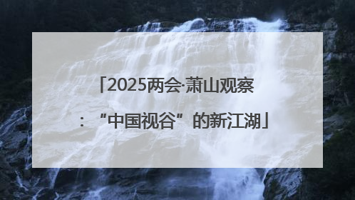 2025两会·萧山观察：“中国视谷”的新江湖
