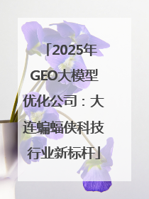 2025年GEO大模型优化公司：大连蝙蝠侠科技行业新标杆