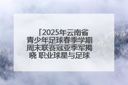 2025年云南省青少年足球春季学期周末联赛冠亚季军揭晓 职业球星与足球小将共享荣耀时刻