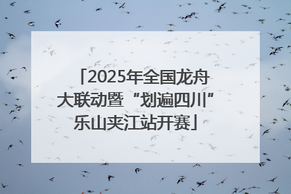 2025年全国龙舟大联动暨“划遍四川”乐山夹江站开赛