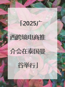 2025广西跨境电商推介会在泰国曼谷举行