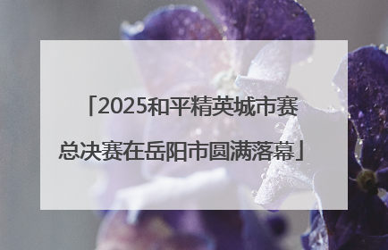 2025和平精英城市赛总决赛在岳阳市圆满落幕