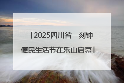 2025四川省一刻钟便民生活节在乐山启幕