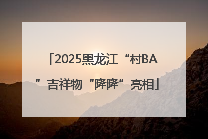 2025黑龙江“村BA”吉祥物“隆隆”亮相