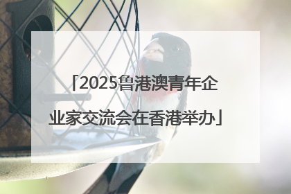 2025鲁港澳青年企业家交流会在香港举办