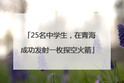 25名中学生，在青海成功发射一枚探空火箭