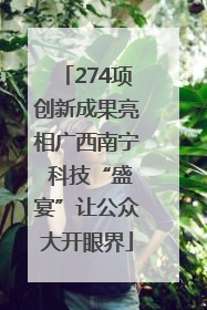 274项创新成果亮相广西南宁 科技“盛宴”让公众大开眼界