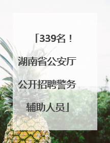 339名！湖南省公安厅公开招聘警务辅助人员