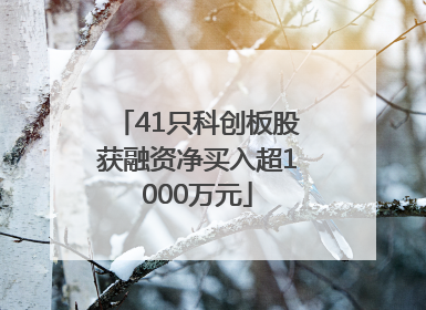 41只科创板股获融资净买入超1000万元