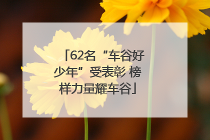 62名“车谷好少年”受表彰 榜样力量耀车谷