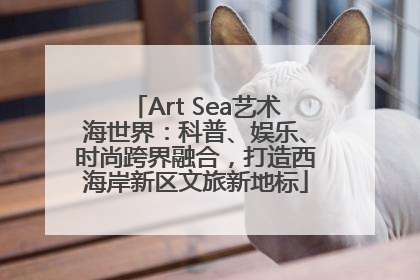 Art Sea艺术海世界：科普、娱乐、时尚跨界融合，打造西海岸新区文旅新地标