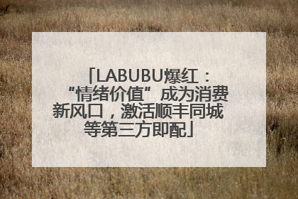 LABUBU爆红：“情绪价值”成为消费新风口，激活顺丰同城等第三方即配