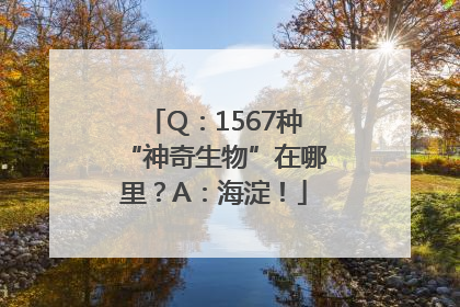 Q：1567种“神奇生物”在哪里？A：海淀！